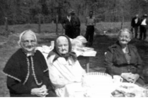 Sallie Waldrop, Martha Johnson York and Della Johnson Jackson Spraggins