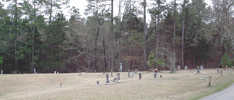 Palestine United Methodist Cemetery - older section south of the Palestine United Methodist Church