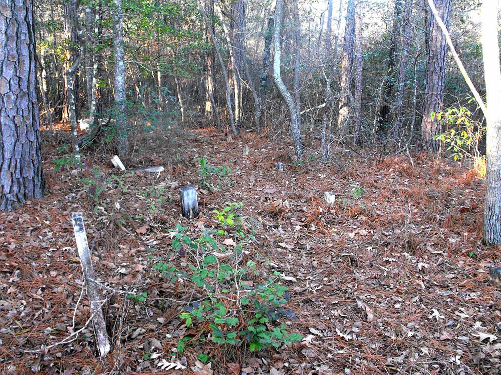 Watkins Cemetery