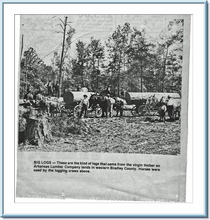 Arkansas Lumber Company virgin pine timber, Bradley County, Arkansas; original is located at the Bradley County Historical Museum