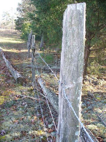 Brushy Rd, Dec. 2008