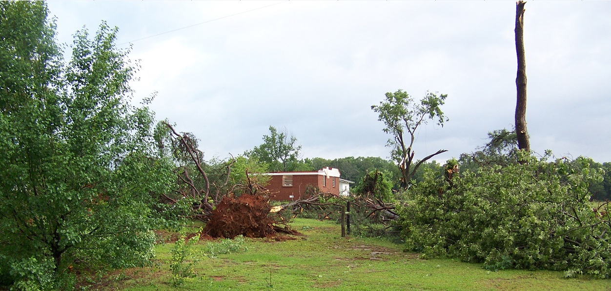 Jo Alice Rogers house on the west side of Oden, off Hwy 88. Photo taken by Barry Mickey on Friday 31st May 2013. The roof is gone then it rained.