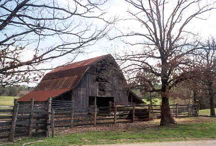 Hog Jaw area, 2000