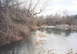 Brushy Creek, near Brushy Church. Branches broken from the Dec. 2000 ice storm.