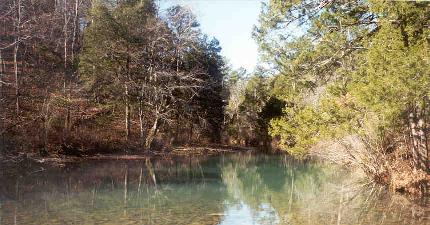 Little Brushy Creek near Brushy Road. Forest land on the left. Beavers are found here.