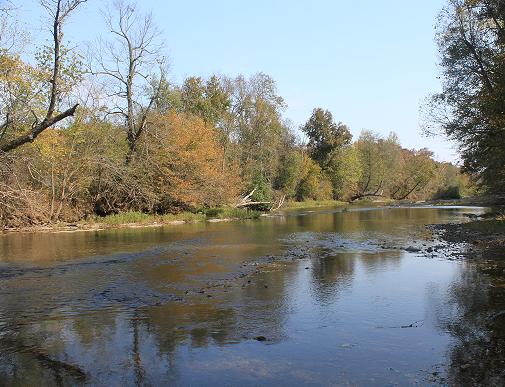 Caddo River half way between Caddo Gap and Norman, looking north, 13th Oct. 2010. It as a dry October, burn ban in effect, no rain for the last three weeks.