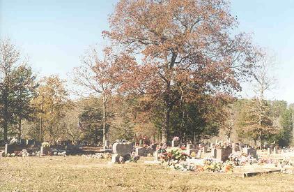 The photo was taken November 2000 � Olwyn