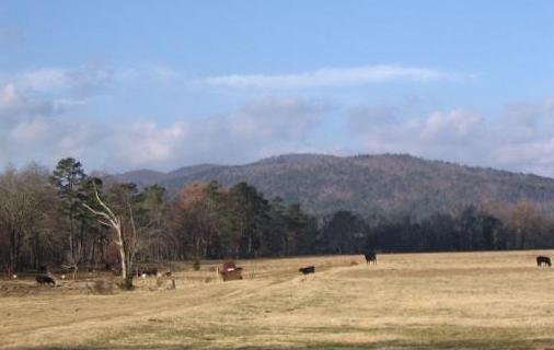 Grapevine Mtn, looking towards Pine Ridge, Dec. 2005