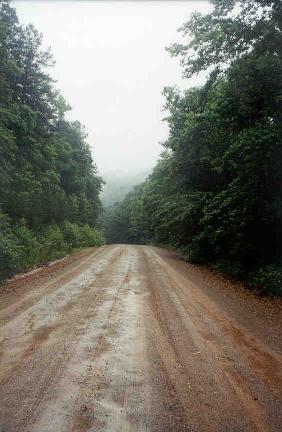 Forest Service Road, Montgomery Co.