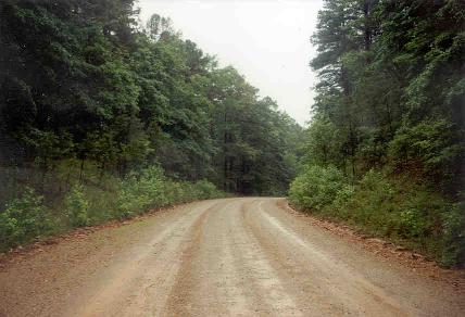 Road to Hickory Nut Mountain vista area.