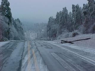 Near Mt Ida. 24 power poles snapped in one stretch.