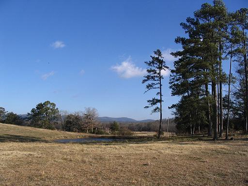 December 2005. Pond, Brushy Rd at telephone pole between the trees.