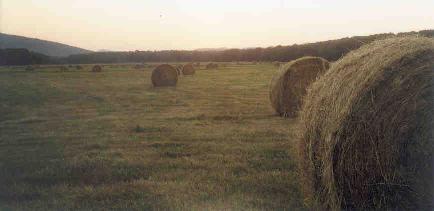  Sunset June 2000. Round Bales.