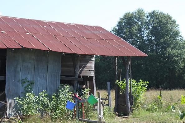 June 2010, own Brushy Rd, Oden. In Oct. 2010 it had a lean to the right.it now has